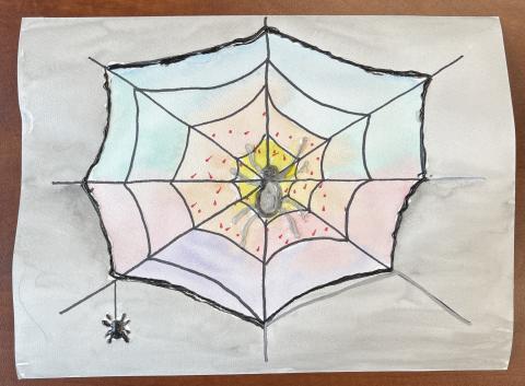 spider watercolor