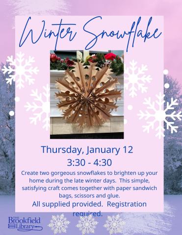 snowflake project flyer