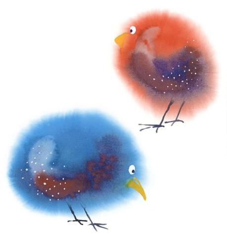watercolor birds 