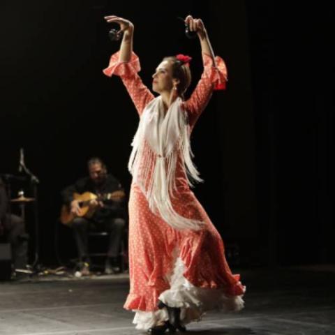 Flamenco dancer