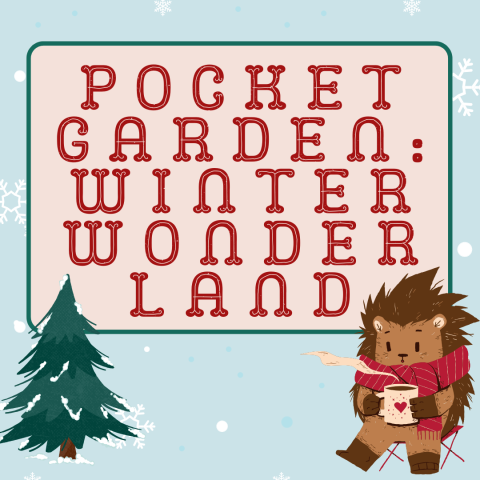 Pocket Garden: Winter Wonderland