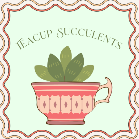 Teacup Succulents