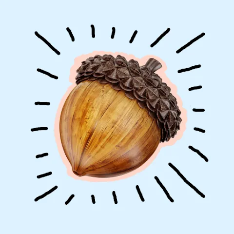 Acorn app icon