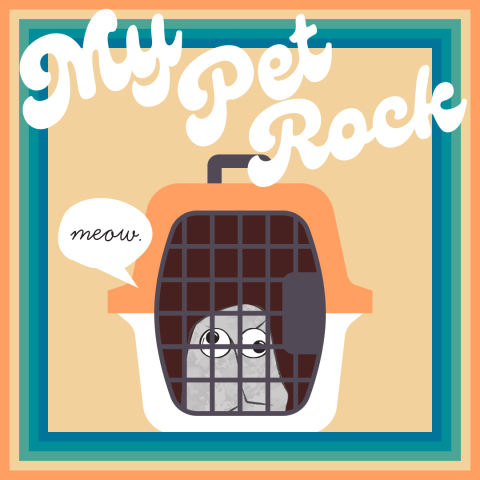 My Pet Rock