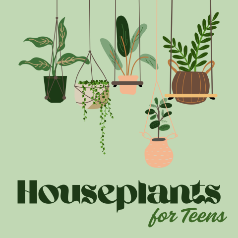 Houseplants for Teens