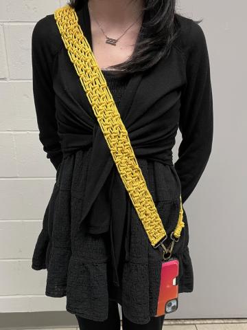 actual picture of project