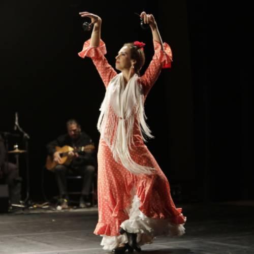 Flamenco dancer