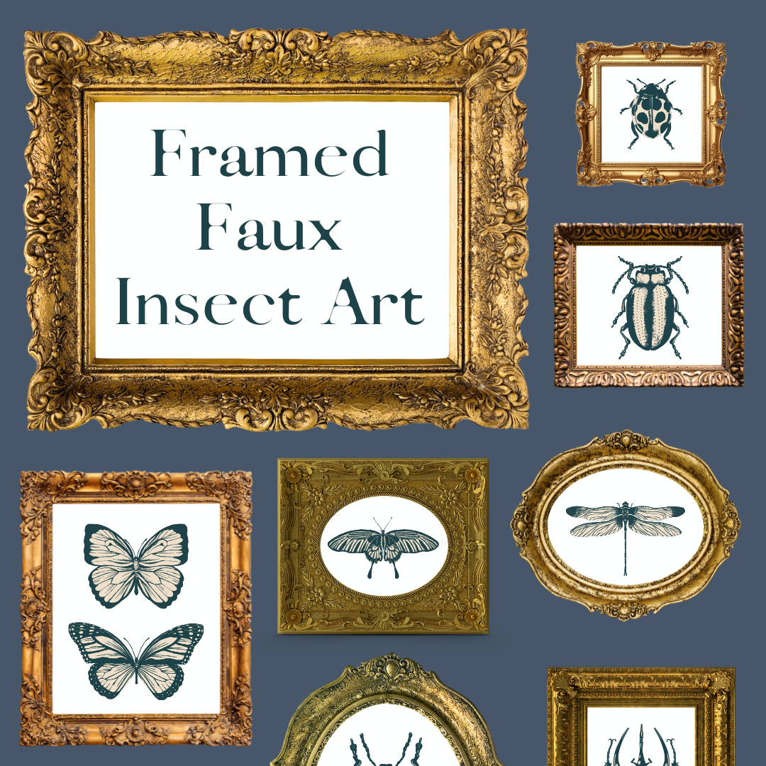 Framed Faux Insect Art