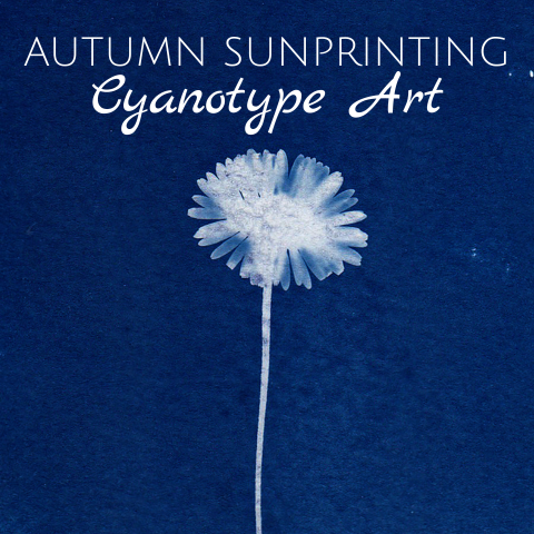 Cyanotype Art
